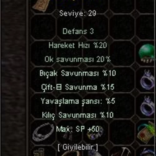  +9 deri çizme ws lik